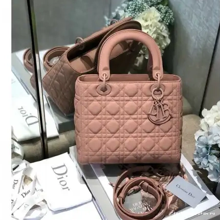 Fashionrepsfam ru Bags 205fy0053 Dio 0820